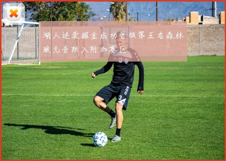 湖人逆袭掘金成功晋级第五名森林狼无奈跌入附加赛区